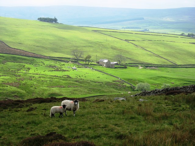 File:Sinderhope Lodge - geograph.org.uk - 444524.jpg