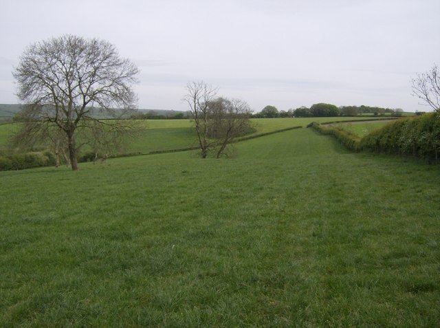 File:South from Evershot - geograph.org.uk - 429123.jpg