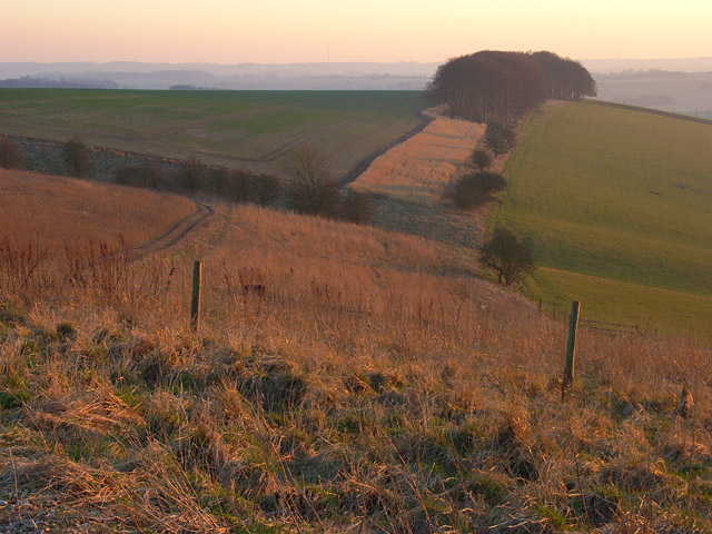 File:Sparsholt Down - geograph.org.uk - 704532.jpg