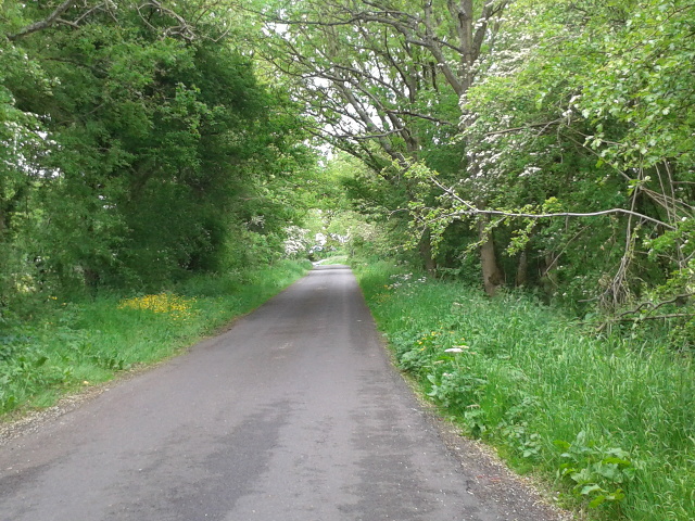 File:Summer greenery, looking west - geograph.org.uk - 3520975.jpg