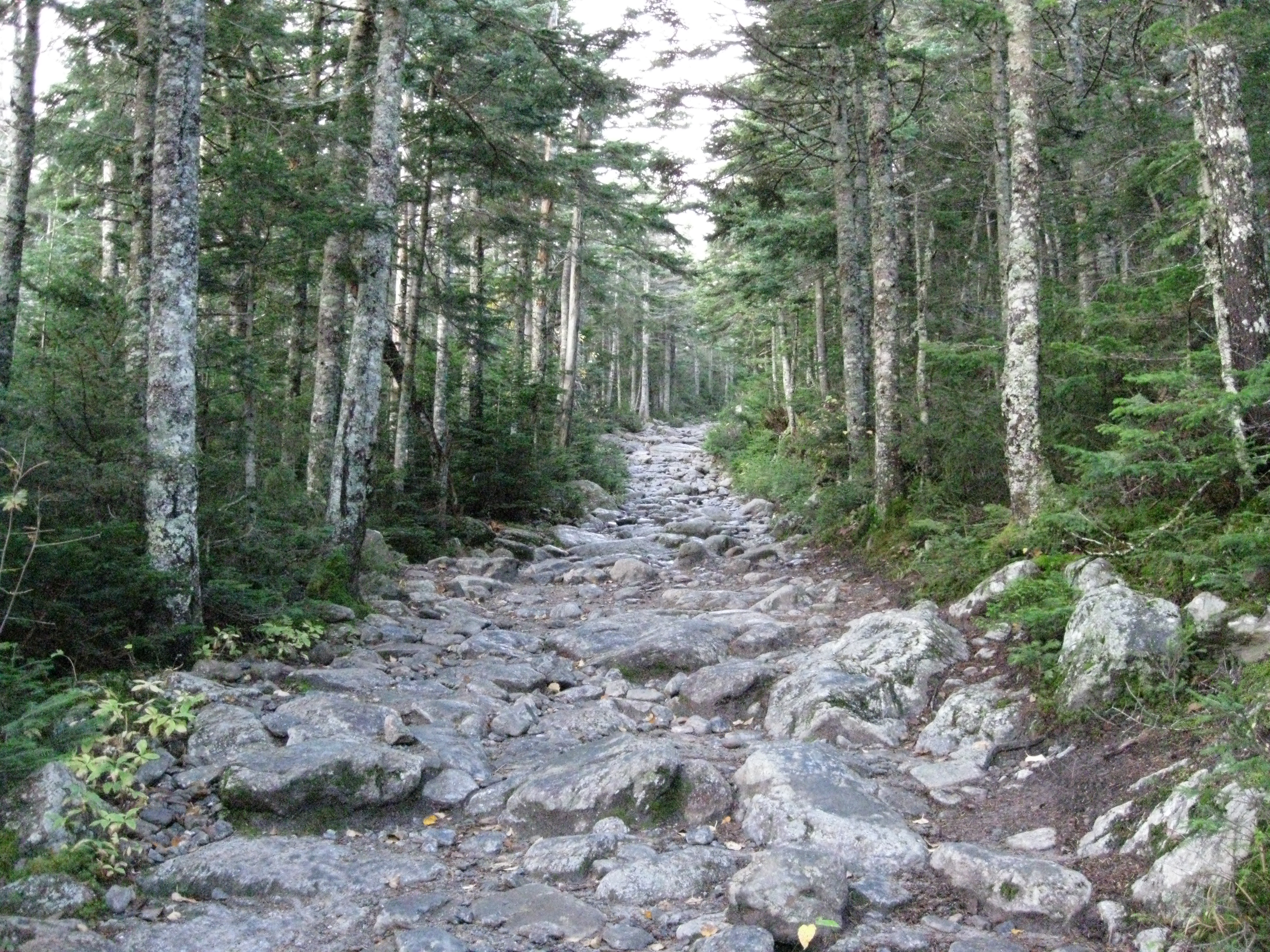 File:Tuckerman trail.JPG - Wikimedia Commons
