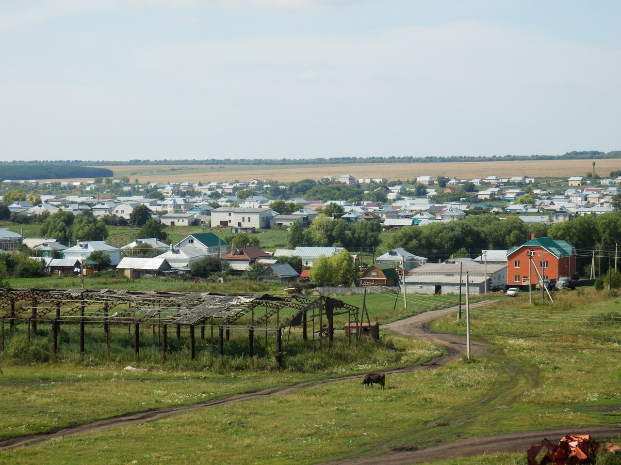 Погода в рыбушкино нижегородская область. Село Рыбушкино Нижегородская. Большое Рыбушкино Нижегородская область школа. Село большое Рыбушкино.