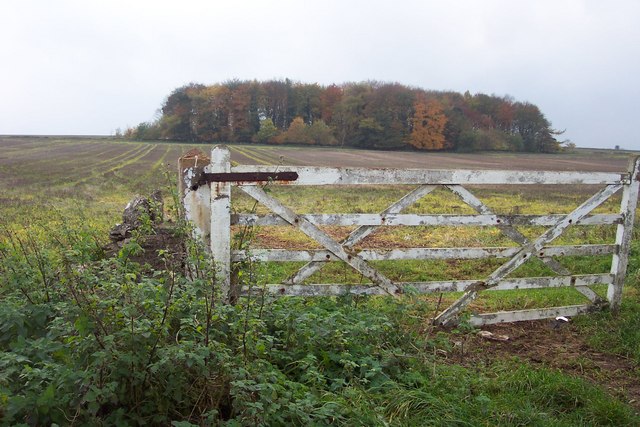 File:A Cotswold wood - geograph.org.uk - 280045.jpg