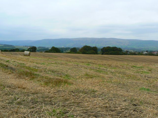 File:Abandoned bale - geograph.org.uk - 1518228.jpg