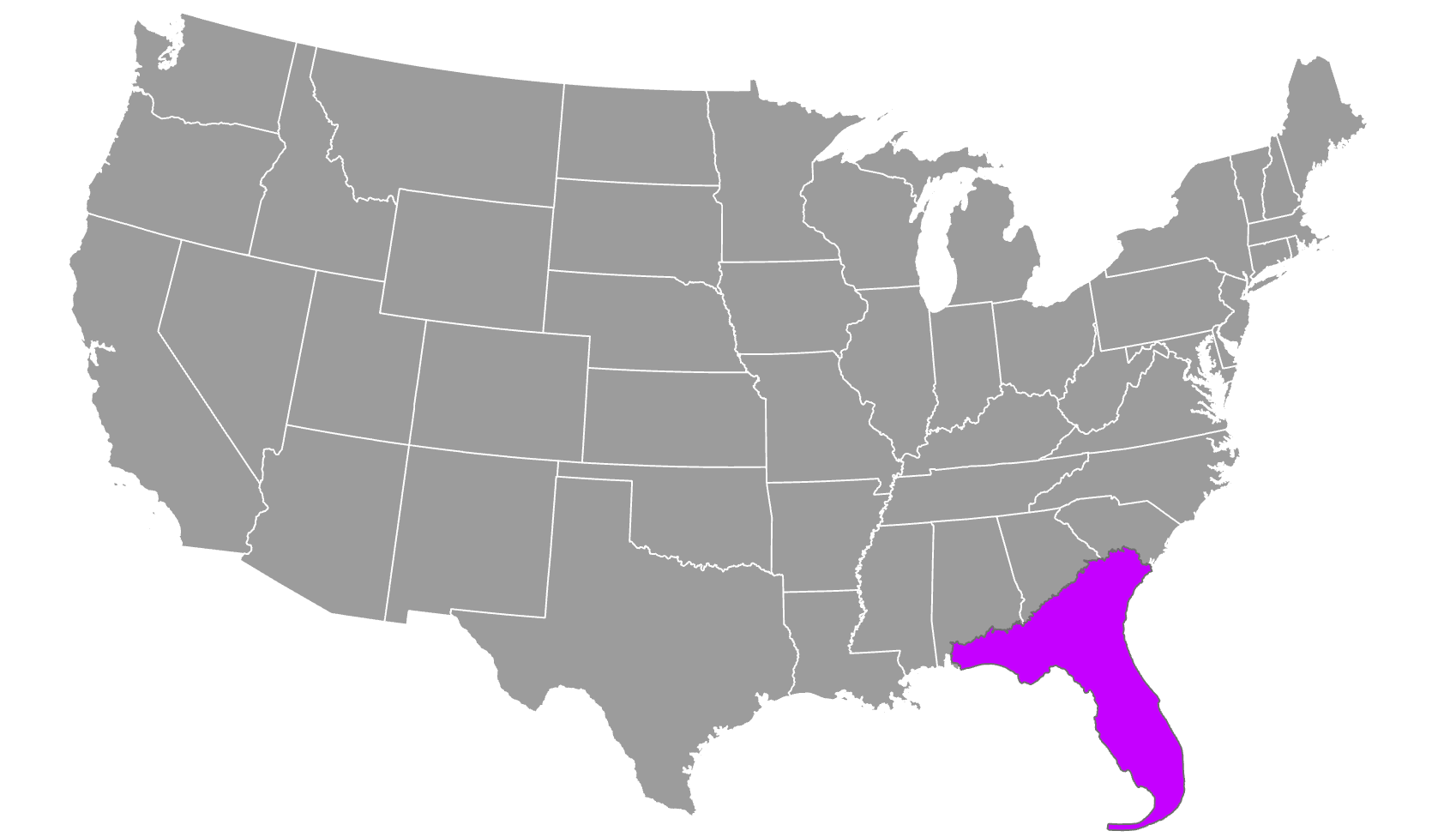 Соединенные штаты кореи. Вайт карта США. Штаты США вектор. Территория США на белом фоне. Карта США на прозрачном фоне.