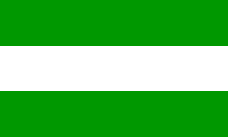 File:Bandera de Tarapoto.png