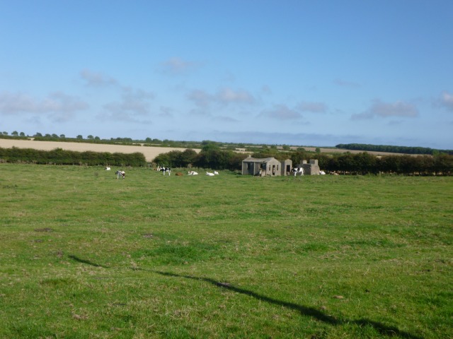 File:Barn north of Acklington - geograph.org.uk - 4201712.jpg