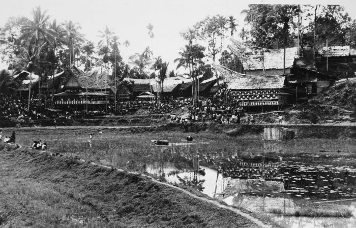 File:COLLECTIE TROPENMUSEUM Een karbouwengevecht onderdeel van het dodenritueel TMnr 20000448.jpg