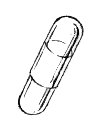 File:Capsule (PSF).jpg