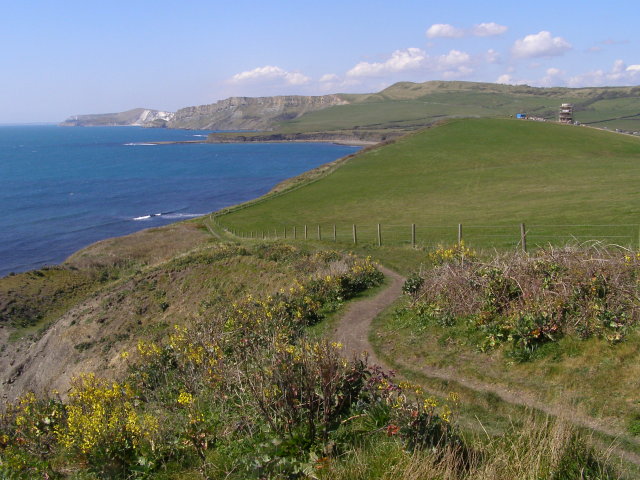 File:Coast path east from Cuddle - geograph.org.uk - 768429.jpg