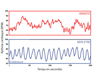 File:Coherence-cardiaque.png