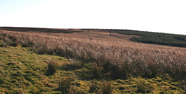 File:Daugh of Davidston - geograph.org.uk - 687716.jpg