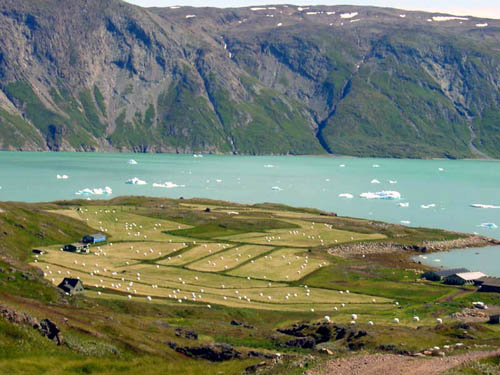 Boerderijen in Groenland