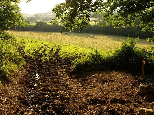 File:Field near West Ogwell - geograph.org.uk - 905623.jpg