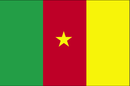 File:Flag of Cameroon (WFB 2004).gif