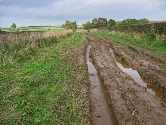 File:Green Lane^ - geograph.org.uk - 270742.jpg