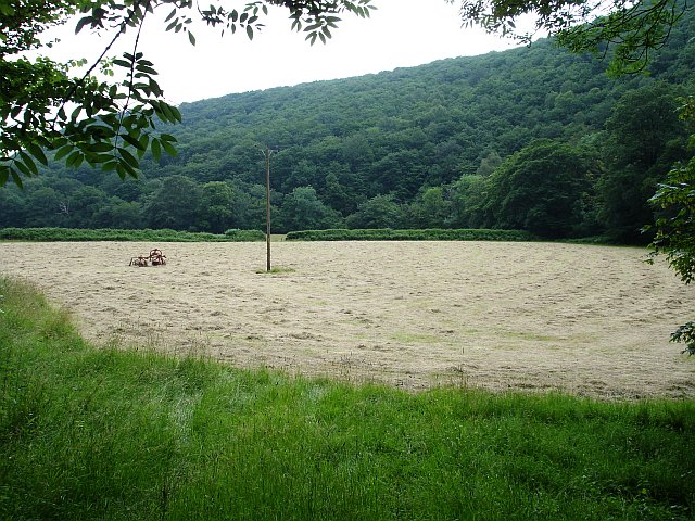 File:Hay field and Bridford Wood - geograph.org.uk - 196536.jpg