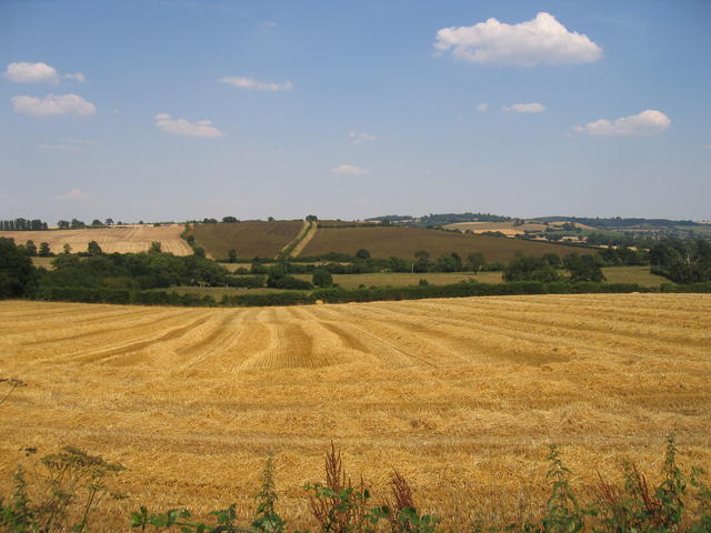 File:Hay harvest near Barton-on-the-Heath - geograph.org.uk - 205315.jpg