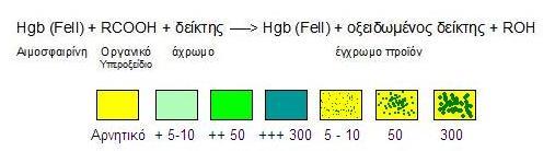 File:Hemoglobulin Urine Strip.jpg