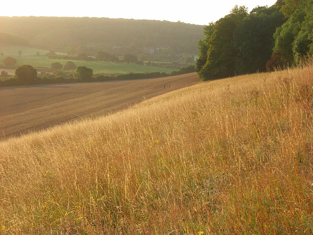 Hillside, Saunderton - geograph.org.uk - 957248