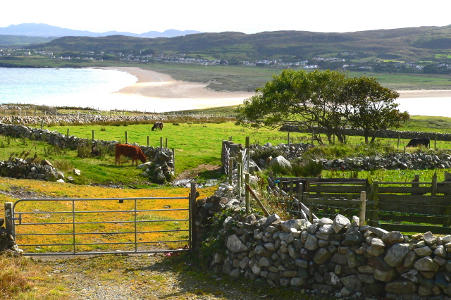 File:Horn Head - Field, bay inlet, and Dunfanaghy - geograph.org.uk - 1181886.jpg