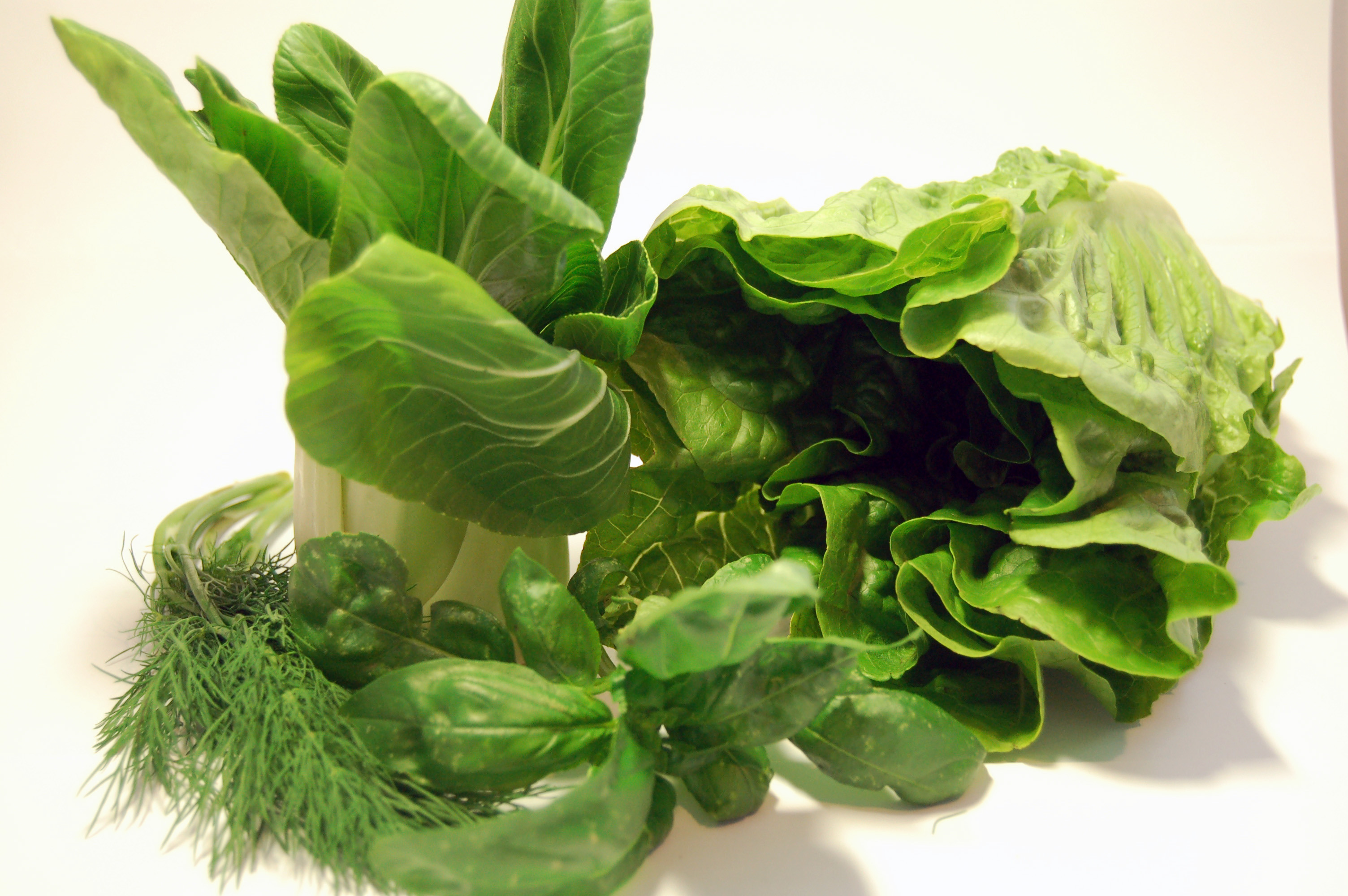 Leaf vegetables (2944503236).jpg