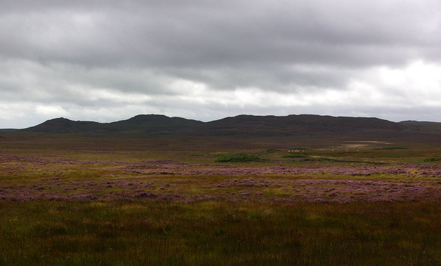 File:Looking towards Bennan of Garvilland - geograph.org.uk - 544150.jpg