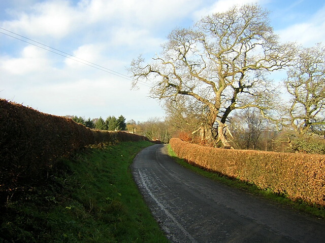 File:Minor Road at Mill Lands - geograph.org.uk - 287566.jpg