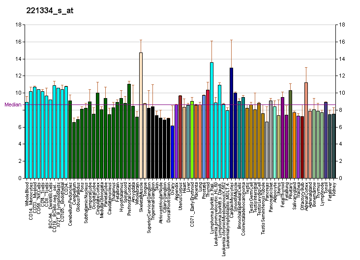 File:PBB GE FOXP3 221334 s at fs.png