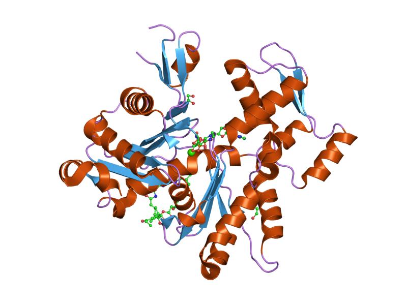 File:PDB 1s22 EBI.jpg