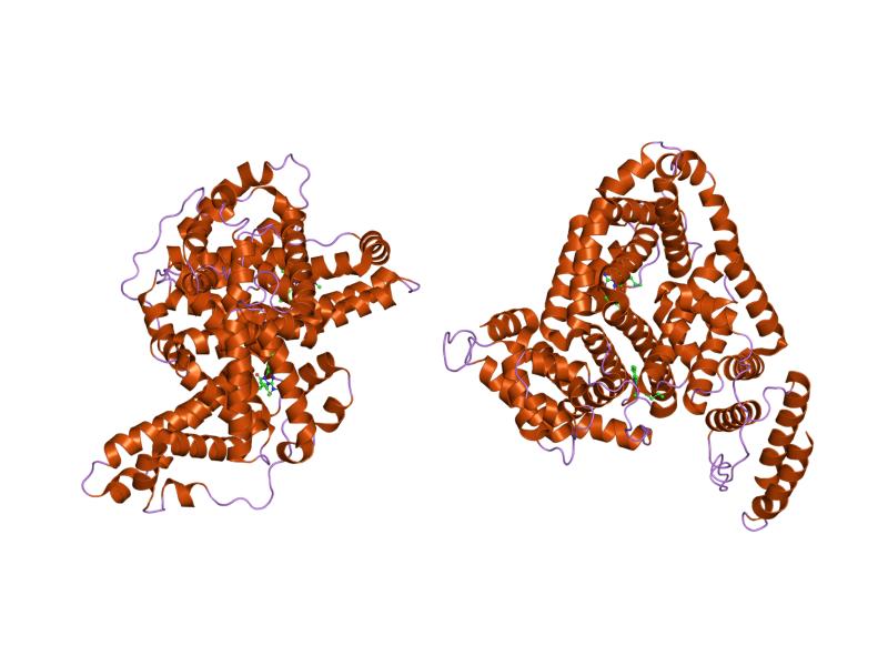 File:PDB 2bx8 EBI.jpg