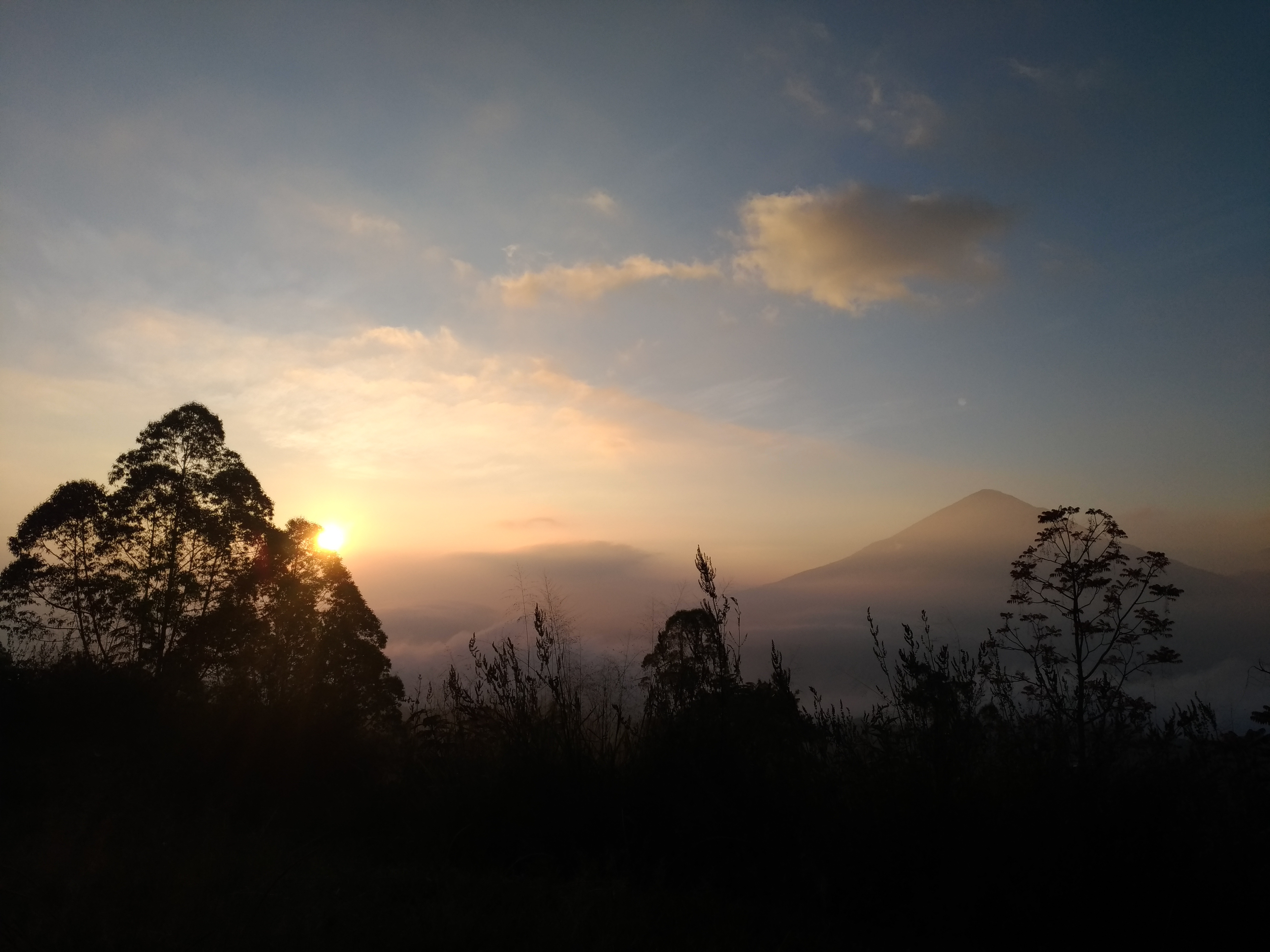 Filepemandangan Dari Gunung Papandayanjpg Wikimedia Commons