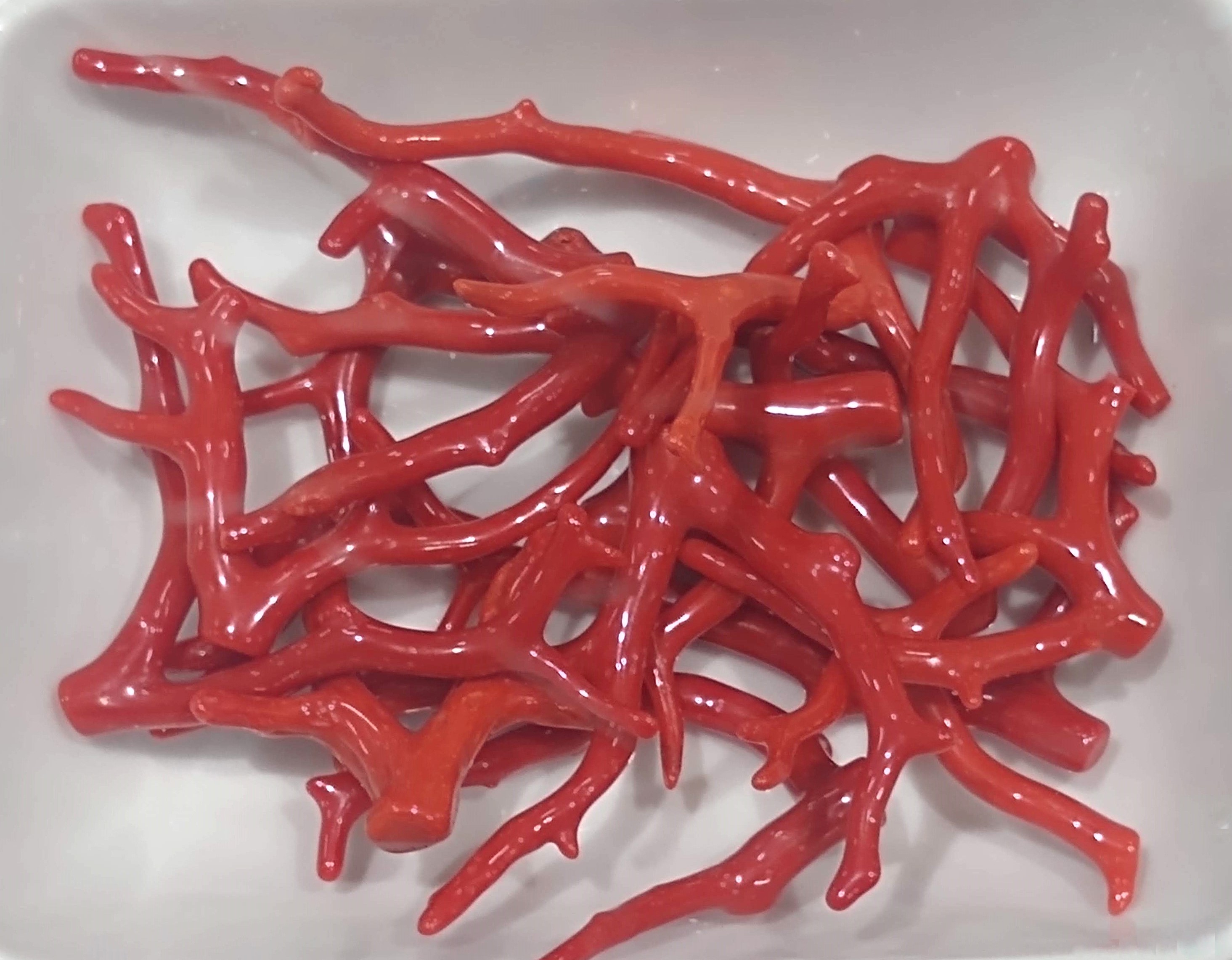 Corallium rubrum. Коралл 20 в 1. Red Coral fur.