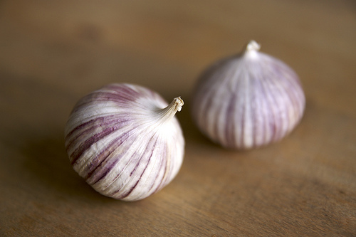 File:Single clove garlic.jpg