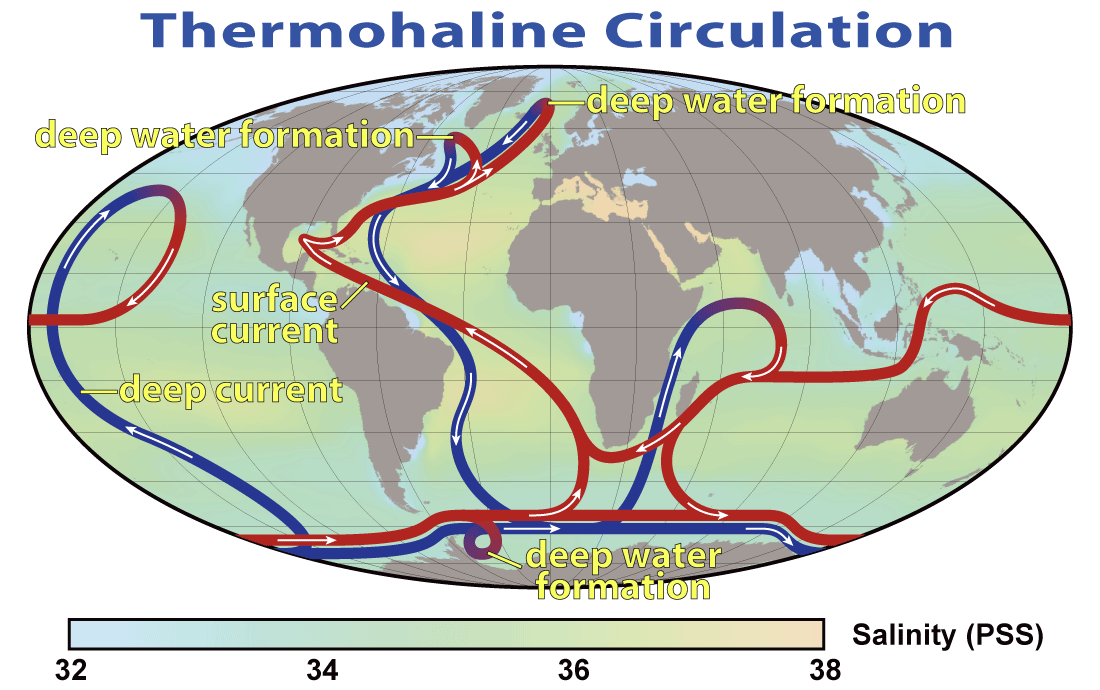 Thermohaline Circulation Wikipedia