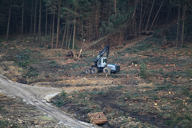 File:Tree Felling Machine in Cropton Forest - geograph.org.uk - 712432.jpg