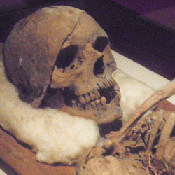 File:VanTonderSkull.png