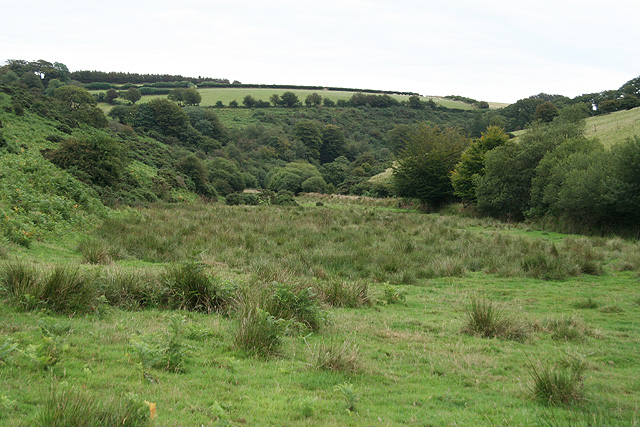 File:Withypool and Hawkridge, the Dane's Brook valley - geograph.org.uk - 223894.jpg