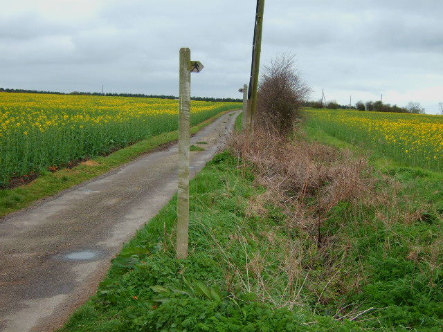 File:Wood lane footpaths - geograph.org.uk - 387669.jpg