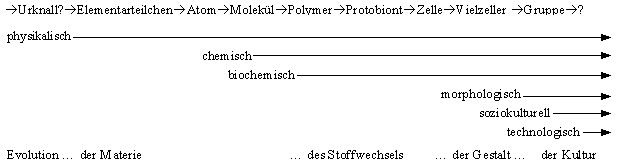 Schema zu den Entwicklungsstufen von Kosmos, Lebewesen und Menschheit