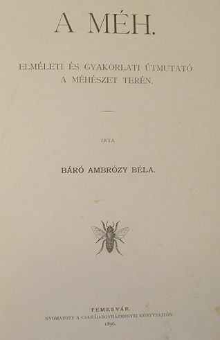 File:Ambrózy Béla- A méh.jpg