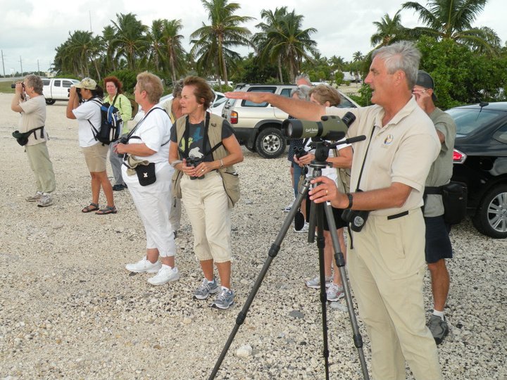 File:Bird tour, Florida Keys (9154175022).jpg