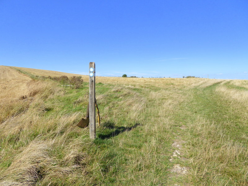 Bridleway junction on Steep Down - geograph.org.uk - 5114131