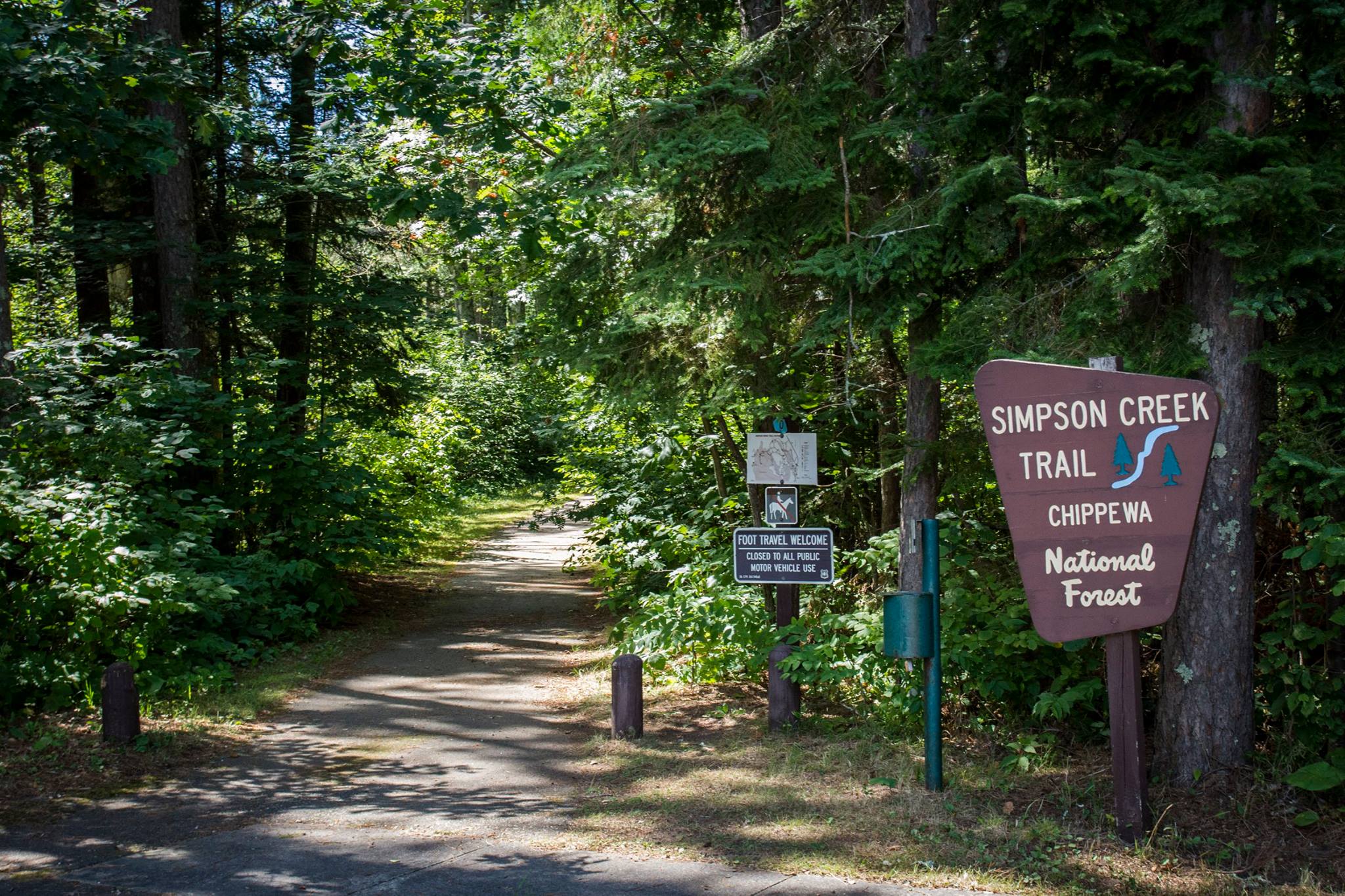 Chippewa National Forest Wikipedia