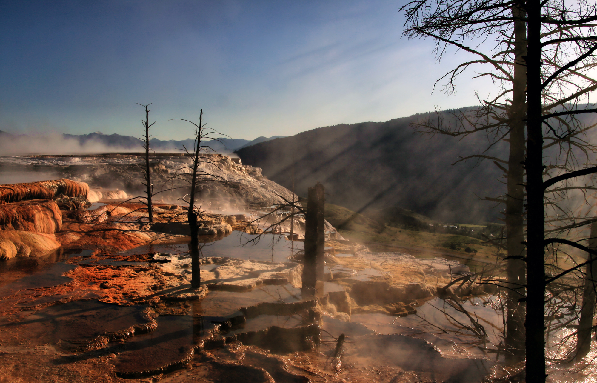 Crepuscular rays and Dead trees at Mammoth Hot Springs.jpg