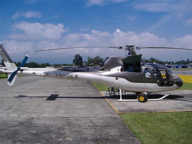 Archivo:Ecureuil as350b3.jpg