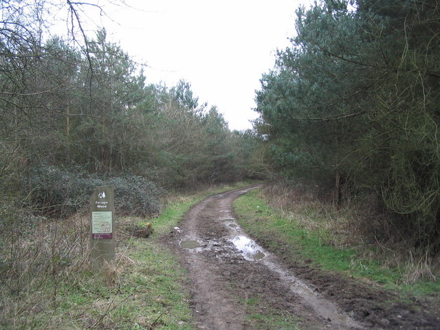 File:Entrance to Fermyn Wood-Laundimer Wood, Forestry Commission - geograph.org.uk - 324271.jpg