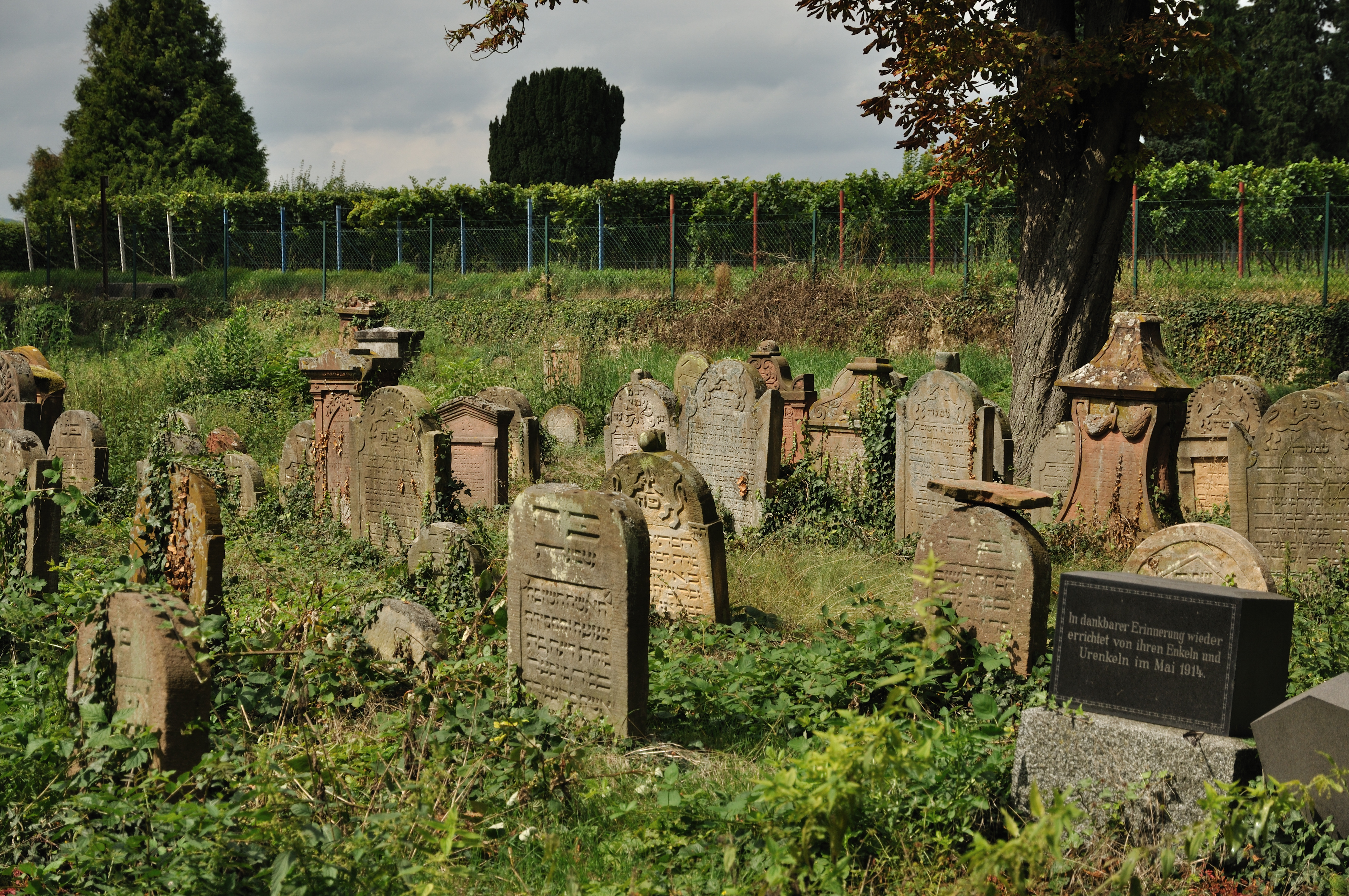 Alter jüdischer Friedhof von 1618