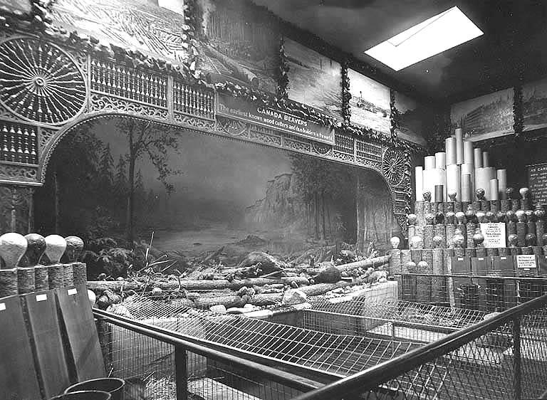 File:Exhibit of Canadian beavers, Canada Building, Alaska Yukon Pacific Exposition, Seattle, 1909 (AYP 403).jpeg