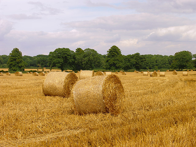 File:Farmland near Acton Turville - geograph.org.uk - 42894.jpg